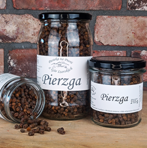 Pierzga